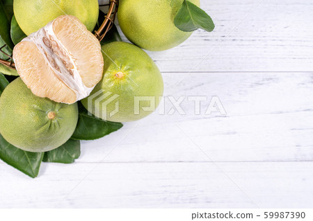 柚子本旦中秋果皮柚子平躺柚子柚子柚子Jyugoya 59987390