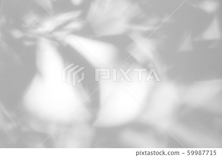 gray shadow of the leaves on a white wall 59987715
