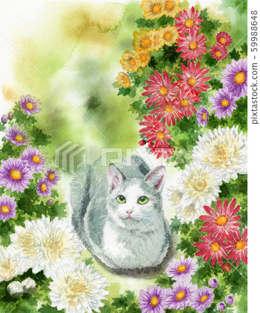 模擬水彩貓和小菊花 59988648