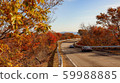 秋天的樹葉車道 59988885