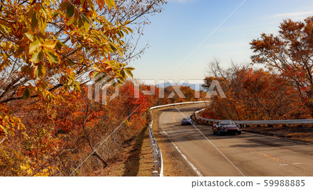 秋天的樹葉車道 秋天的樹葉車道 59988885
