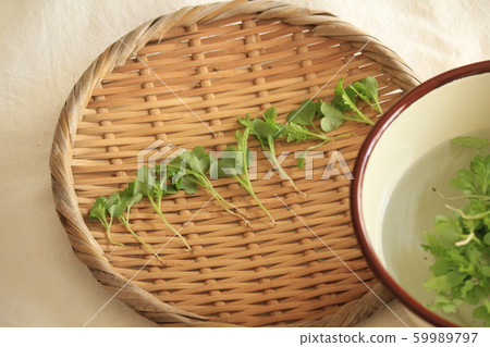 Baby leaf of Mizuna and Wasabi Baby leaf of Mizuna and Wasabi 59989797