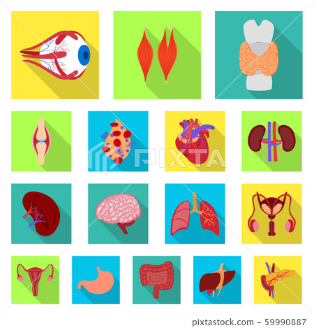 Vector design of human and health sign. Set of human and scientific stock symbol for web. 59990887