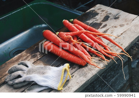 家庭菜園的石榴石 59990941