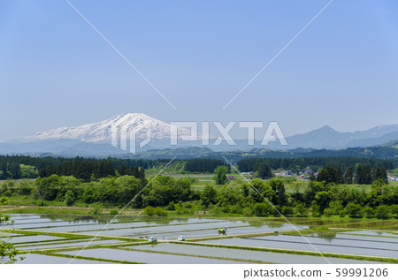 水稻移植前的四個季節中扮演的金山町 59991206