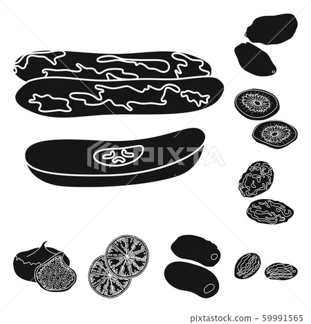 Vector illustration of vitamin and nature icon. Set of vitamin and dried stock symbol for web. Vector illustration of vitamin and nature icon. Set of vitamin and dried stock symbol for web. 59991565