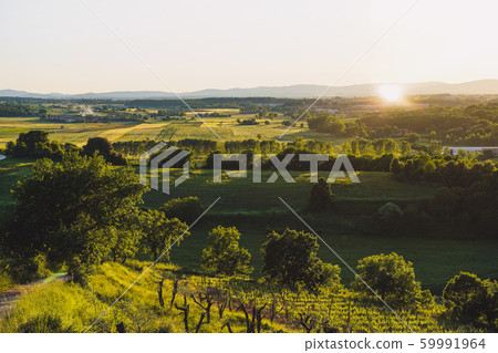 Landscape in Tuscany, Italy 59991964