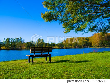 Holiday afternoon Holiday afternoon 59992715