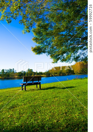 Holiday afternoon 59992716