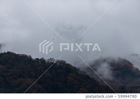 Cloudy Tanzawa Cloudy Tanzawa 59994780