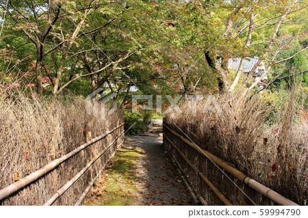 Within the direct fingering precincts 59994790