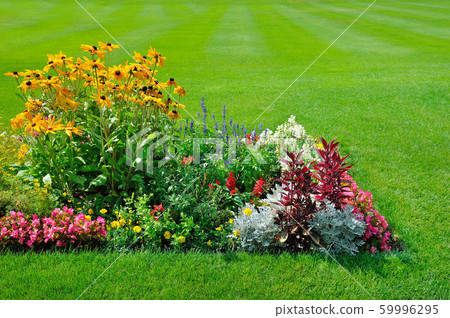 Beautiful Landscape Garden with a Freshly Mowed 59996295