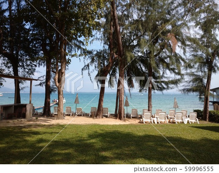 Tropical Resort 59996555