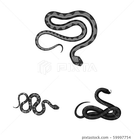 Isolated object of harm and bite icon. Set of harm and reptile stock vector illustration. 59997754