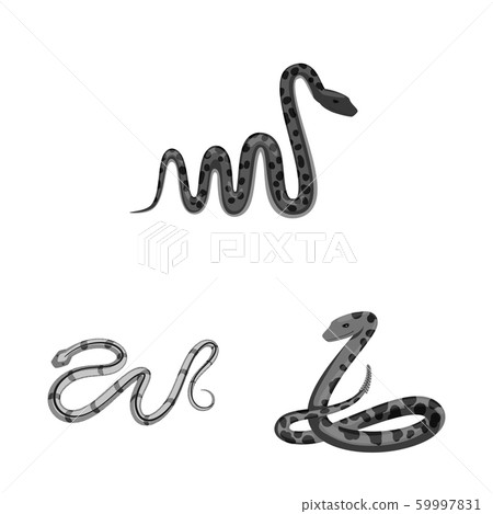Vector design of harm and bite symbol. Set of harm and reptile stock vector illustration. Vector design of harm and bite symbol. Set of harm and reptile stock vector illustration. 59997831