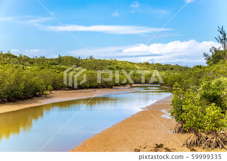 宮古島（沖繩縣11月） 59999335