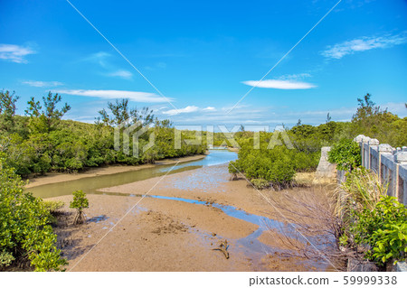 宮古島(沖繩縣11月) 宮古島(沖繩縣11月) 59999338