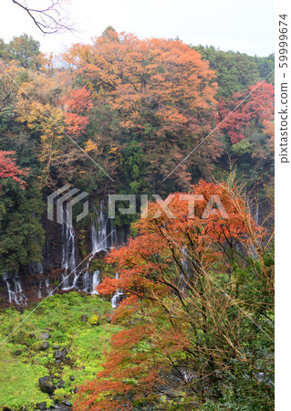 Shiraito Falls (late autumn) 59999674