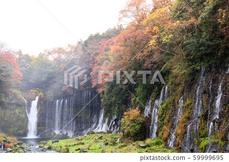 Shiraito Falls (late autumn) Shiraito Falls (late autumn) 59999695