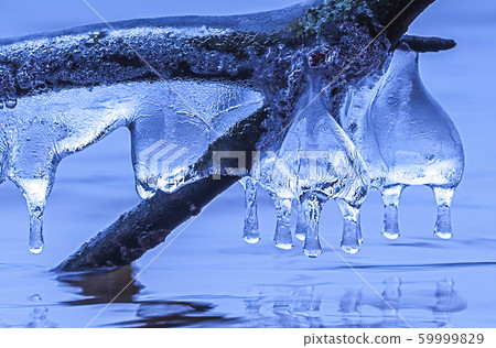 Icicle formations on a branch of a tree over the lake Icicle formations on a branch of a tree over the lake 59999829