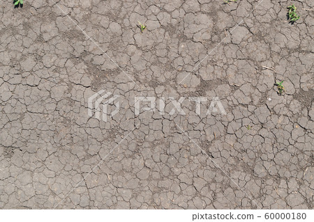 Cracked Dry Earth Top View as Global Warming 60000180