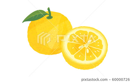 Yuzu Yuzu 60000726
