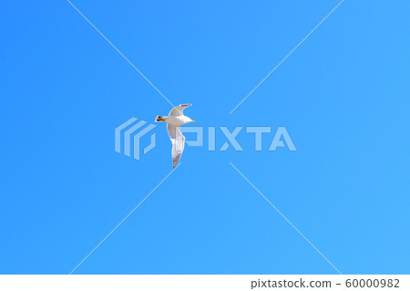 大間崎』 大間崎』 60000982