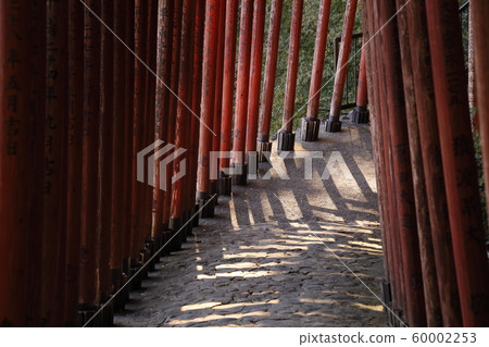 Red torii tunnel Red torii tunnel 60002253