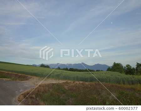 Wheat field and Tokachidake mountain range 60002377