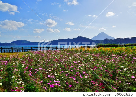 池田湖和凱蒙達克 池田湖和凱蒙達克 60002630