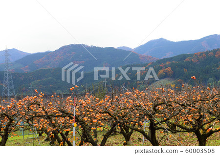 Hana Gosho-an, Yagami Town, Tottori Prefecture 60003508