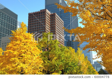 Imperial Palace Bund Yukiyuki Street Ginkgo Stock Photo