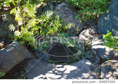 Sengakuji Shrine Well(東京都港區高輪市)2019年11月 Sengakuji Shrine Well(東京都港區高輪市)2019年11月 60005504