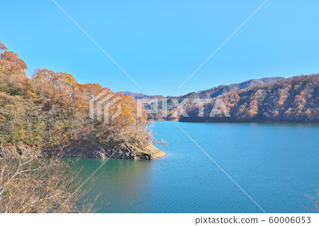 Autumn leaves of Kuzuryu Lake 60006053