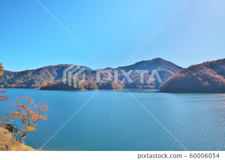 Autumn leaves of Kuzuryu Lake 60006054