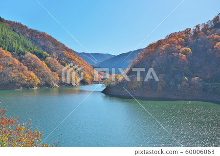 Autumn leaves of Kuzuryu Lake 60006063