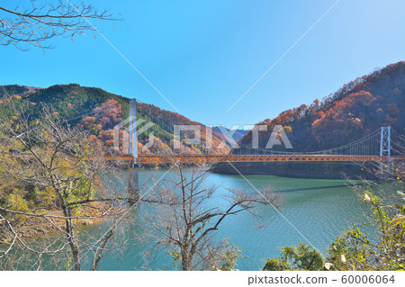 Autumn leaves of Kuzuryu Lake 60006064