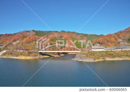 Kuzuryu湖秋葉 60006065