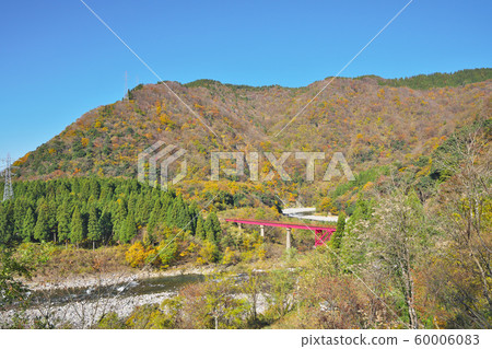 Kuzuryu湖秋葉 Kuzuryu湖秋葉 60006083