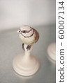Bird object 1 60007134