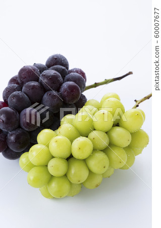 閃耀馬斯喀特 60007677