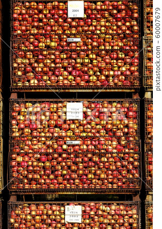 Apple in Tsugaru Apple in Tsugaru 60007679