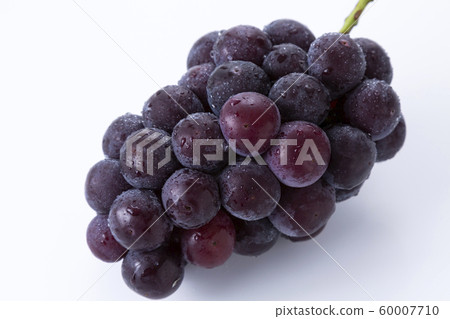 Seedless Pione 60007710