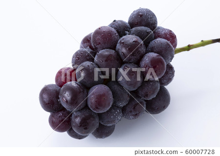 Seedless Pione Seedless Pione 60007728