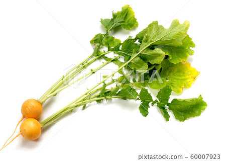 Golden turnip 60007923