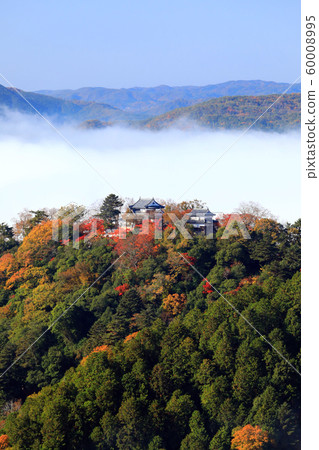 Castle in the sky 7200- Castle in the sky 7200- 60008995