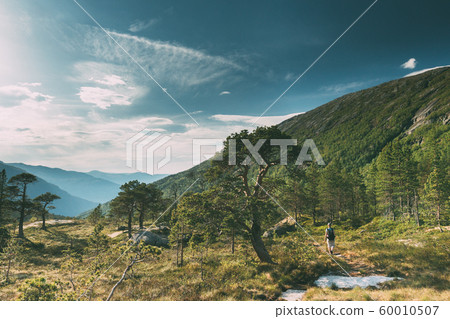 Kinsarvik, Hordaland, Norway. Young Woman Lady Tourist Traveler Backpacker Hiking In Hardangervidda Mountain Plateau. Famous Popular Destination Kinsarvik, Hordaland, Norway. Young Woman Lady Tourist Traveler Backpacker Hiking In Hardangervidda Mountain Plateau. Famous Popular Destination 60010507