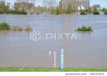 Arakawa on October 13, 2019 Arakawa on October 13, 2019 60010955
