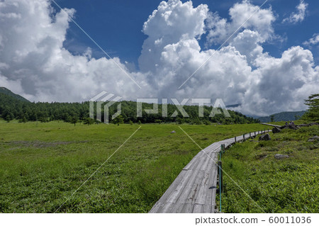 池塘平沼澤路 60011036