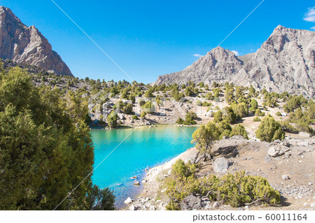 Summer mountains. Scenic landscape of mountain 60011164